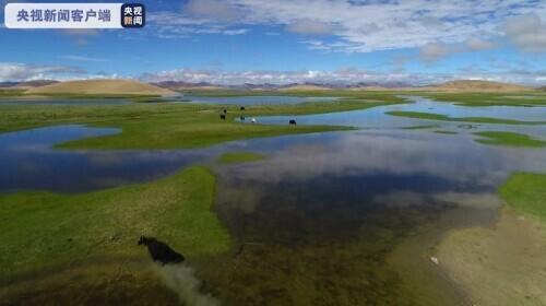 增长|西藏公布2020年经济运行情况 人均可支配收入超两万元