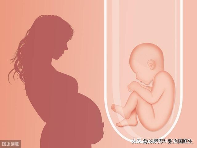 「超级宝妈」精子畸形率高就容易生出畸形宝宝,这种说法正确?