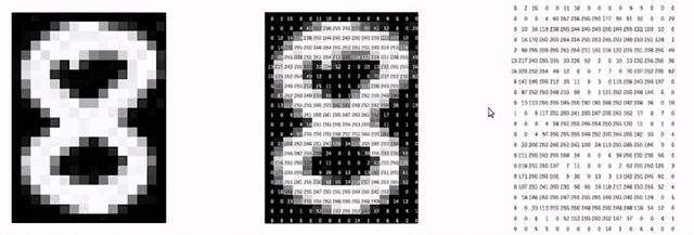 你曾想过如何将图像存储在数据集中吗？