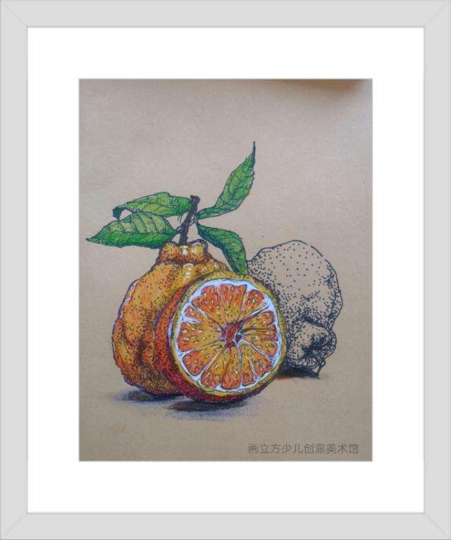 你的育儿经■少儿美术教育停课不停学||亲子绘画水果线描写生零基础教程