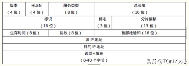 网络层(TCP/IP协议)