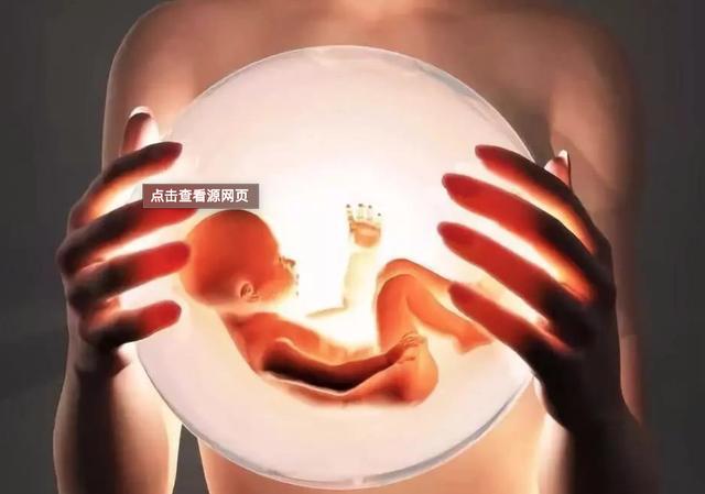 你的育儿经■做了试管婴儿，冷冻的胚胎怎么处理最划算？