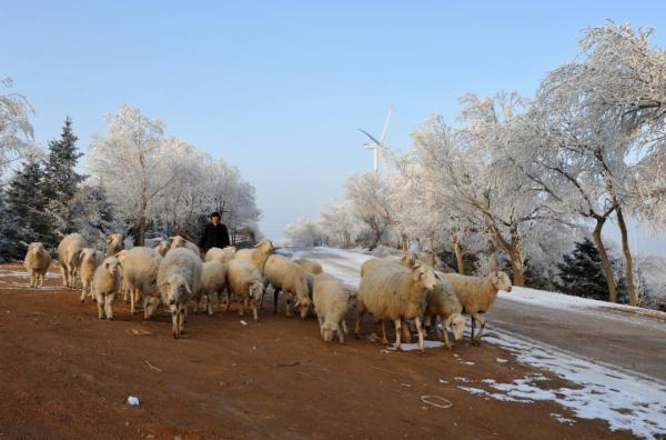 会宁：冬景如画 雪落成诗