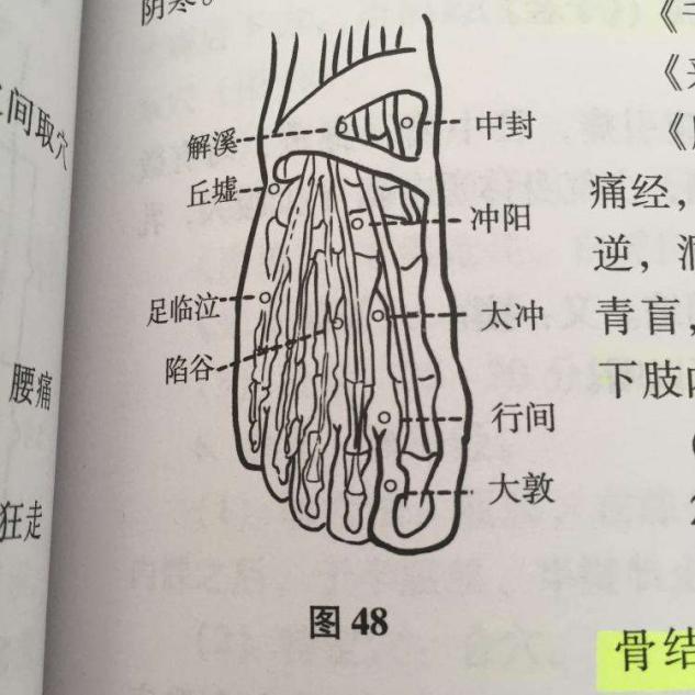 穴位的穴性与泻肝火