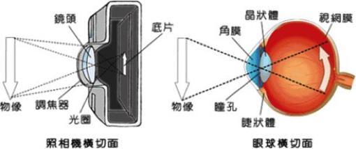 近视|科学汇 | 视力保健很重要，但你真的了解眼睛吗，为啥学生更容易近视