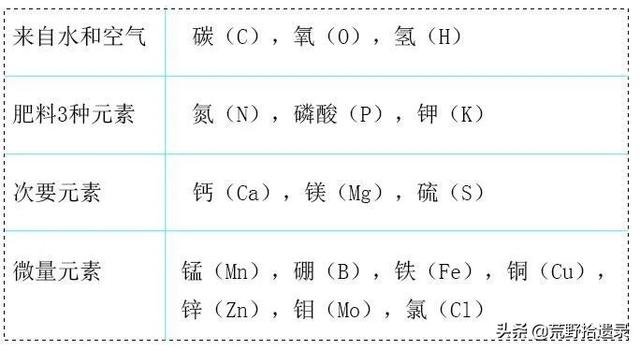 室内植物的春季施肥，一年之计在于春