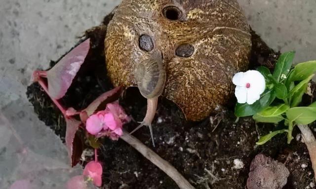 为什么国外的孩子比较活泼自信？