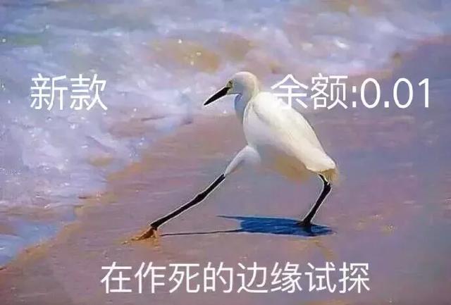 有钱人的快乐，你根本想象不到...