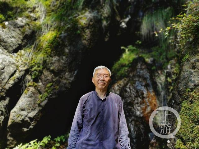 金钗|上游新闻现场见证“金钗”发现 长在悬崖上 鲜品4万元一公斤