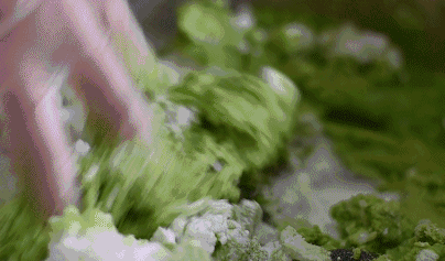 青团|你想了一年的春天限定“青团”来了，外皮软糯，内馅温润，太幸福了！