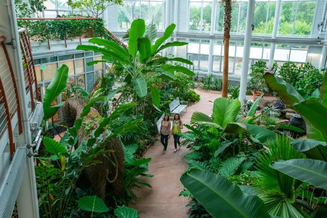 「旅行柚子君」浪漫花园:欣赏各地奇珍异草共同生长的繁荣景象
