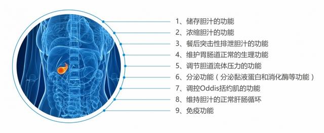 吃三万多的排石药，胆结石没排掉，反而还丢掉了胆囊