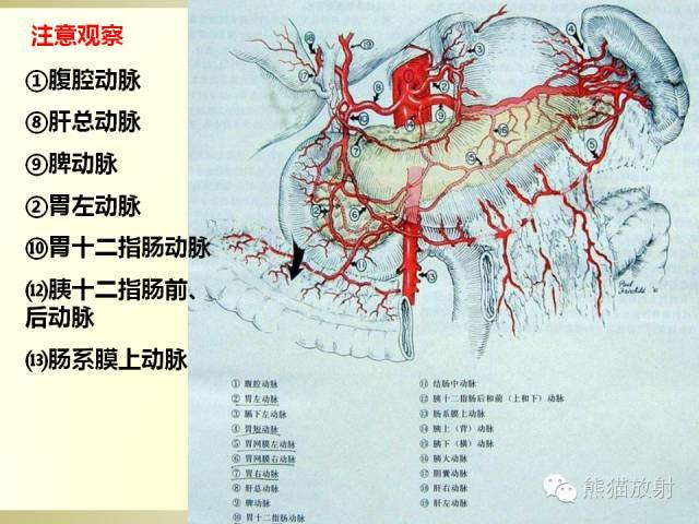 胰腺CT增强扫描、血管评价及病变诊断