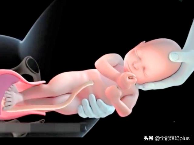你的育儿经▲科普：顺产过程你了解多少？看完方知母爱伟大，请勿泪奔