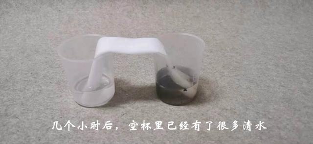 超级宝妈|好玩又能涨知识的科学实验：在家就能跟孩子一起做，必需get