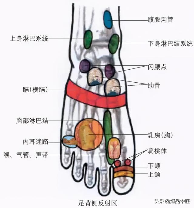 全身穴位治疗口诀大全，配图精华版