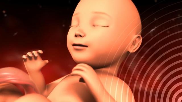 猫绘秋|孕期饮食有讲究，孕妈靠几个步骤成功长胎不长肉，快学起来