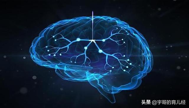「超级宝妈」婴幼儿时期，大脑发育的关键阶段，了解这4点，助力宝宝成长