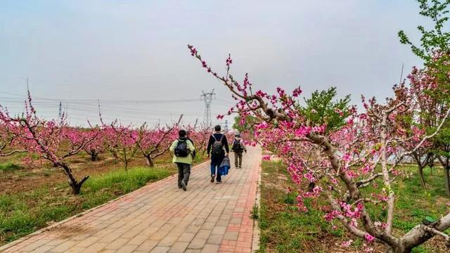 「旅行柚子君」云游通州 | 过把陶渊明的瘾!快节奏中的慢时光,城市里的世外桃源