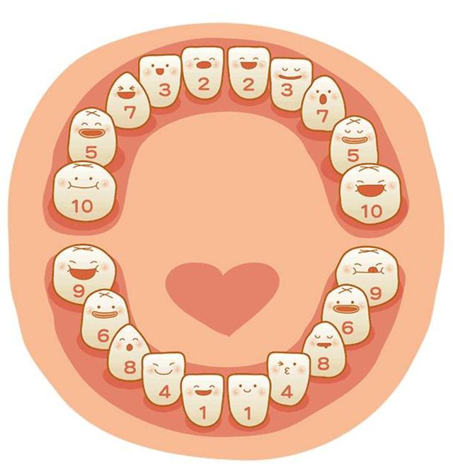 「你的育儿经」宗医生，宝宝乳牙什么时候才算长齐？