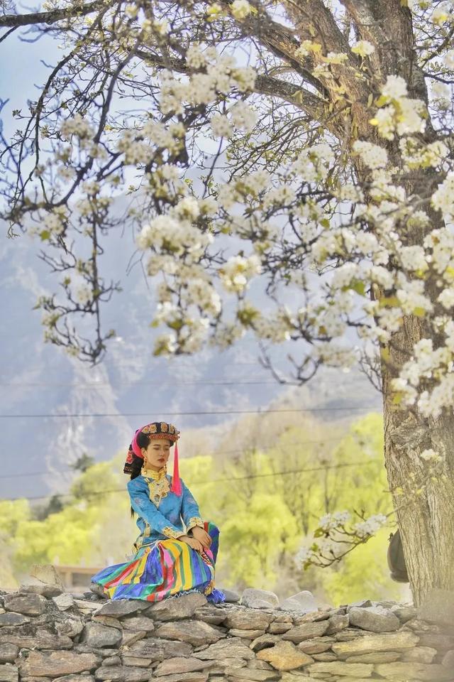 「旅行柚子君」天上云海！地上花海！这些冒着仙气的地方，竟藏了中国最美风景