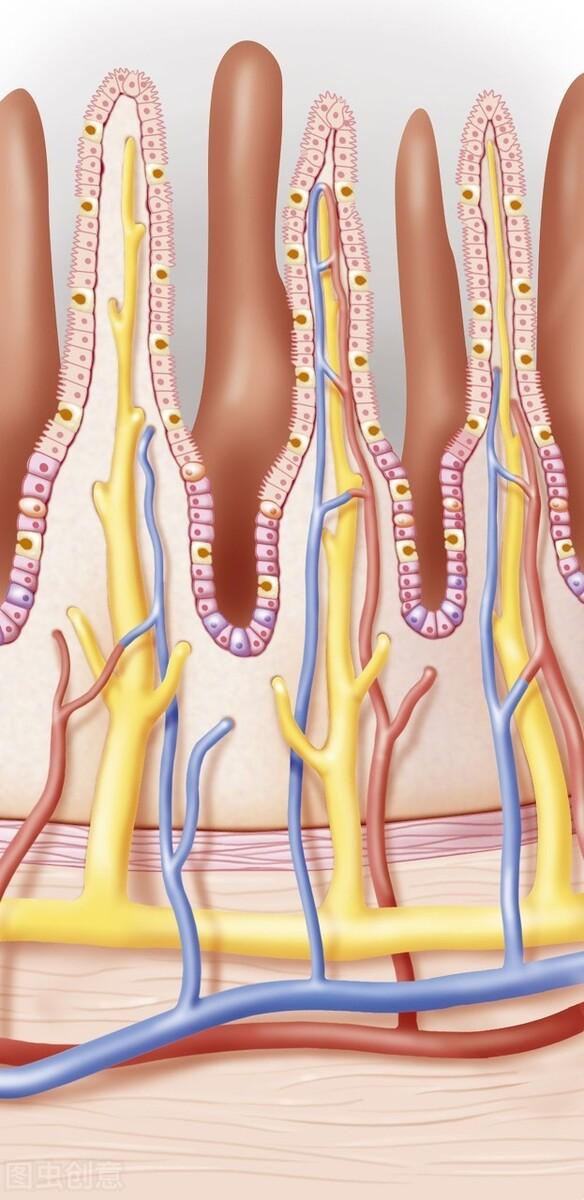 糖尿病人可以吸电子烟吗？最新发现可能导致肠漏、增加炎症