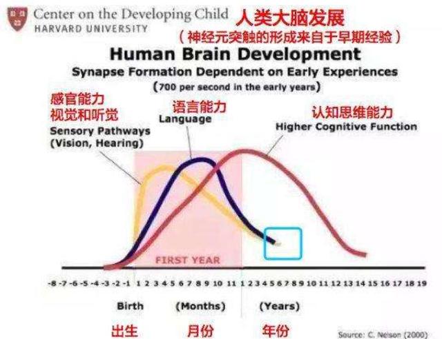 美国科学家研究：这2个地方越乱，娃大脑越聪明，家长们别太勤快