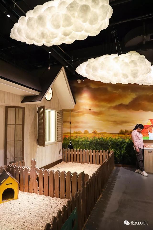 「玩乐足迹」北京首家室内动物园 · 和羊驼浣熊一起玩