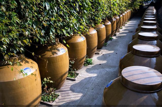 庄园|首推“庄园酱酒”概念 青花郎烙上赤水河左岸印记