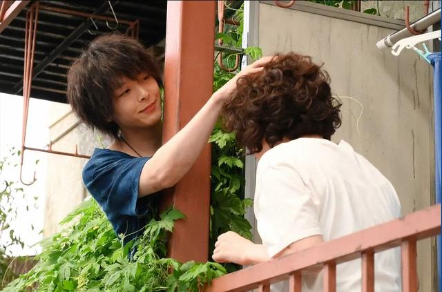 多拉不懂A梦|推荐5部治愈系日剧，给你的人生一点甜