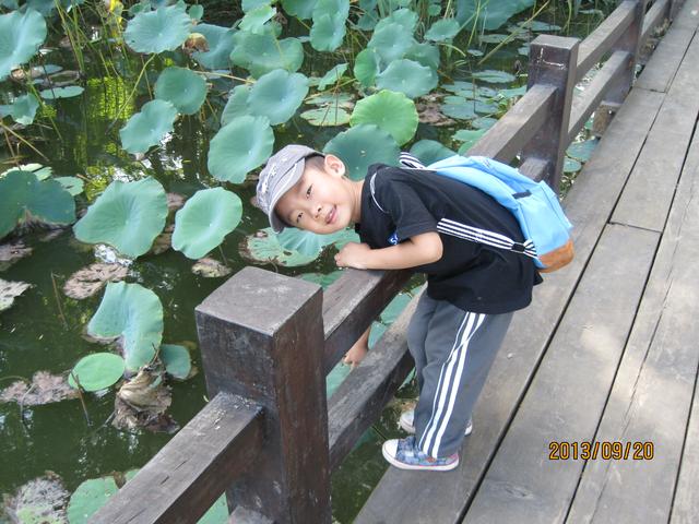 你的育儿经|我和小朋友的野餐之旅：孩子的需求，因简单而快乐