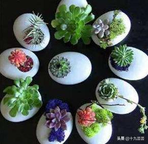 超级宝妈@幼儿园的手工作业再也不用愁了，鸡蛋壳来帮你忙！