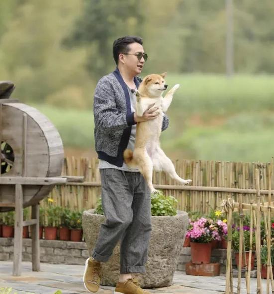 《向往》的两条狗怎么了？泪痕明显没活力，状态大不如前资讯早知道