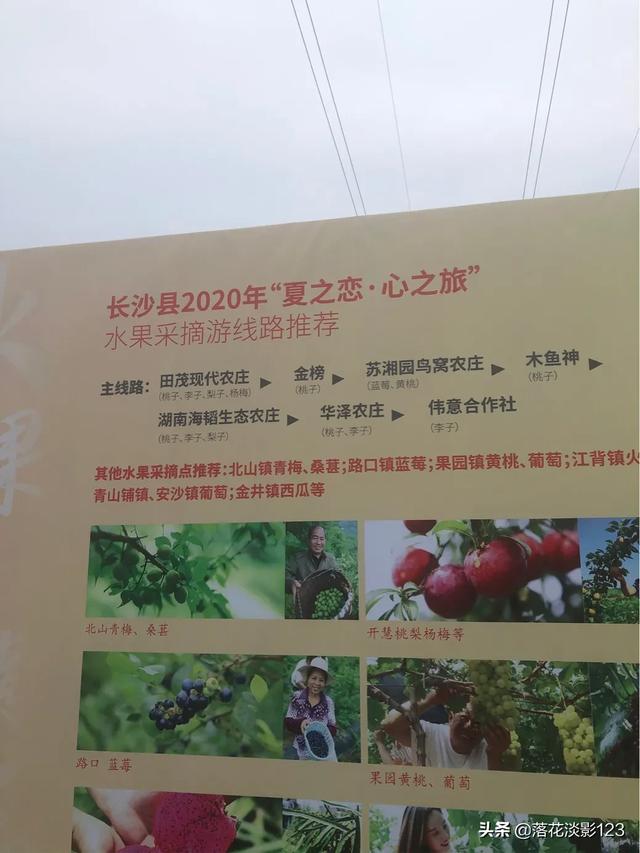 旅行柚子君▲《南乡子?参加长沙县夏之恋旅游启动式有感》