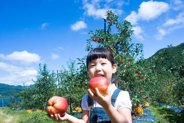 #你的育儿经#家庭训练日记——小活动、大运动，帮助孩子健康快乐成长