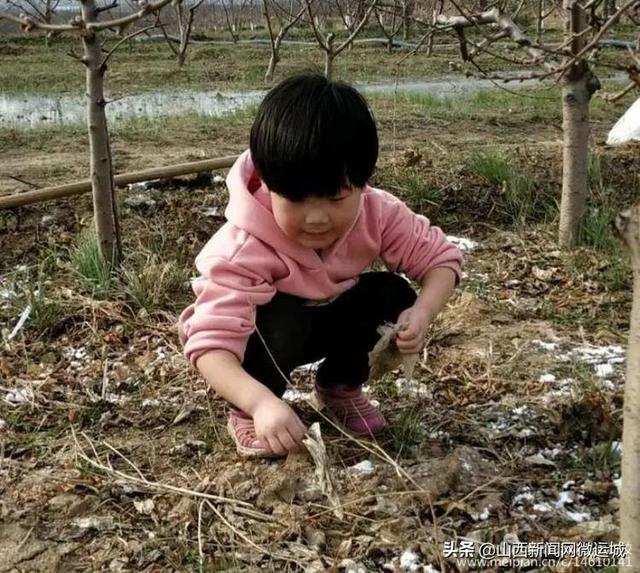 「超级宝妈」三·八 时光荏苒，还好我们依然相伴——西关幼儿园线上主题活动