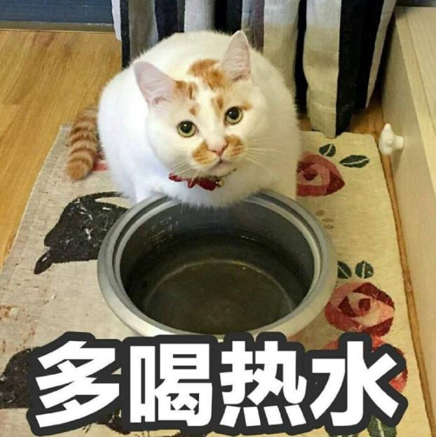 我爱我家|宝宝又发烧了？别急，学会这招，不打针不吃药免去你烦恼