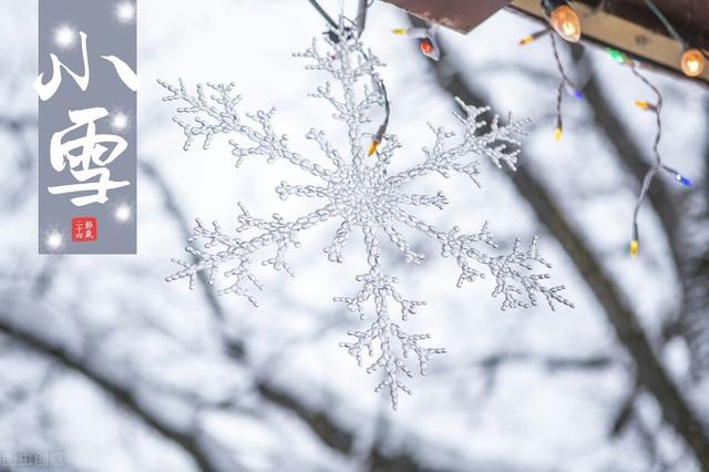 明日小雪，不管多忙，3黑3白记得吃，应季而食身体棒，暖和过冬