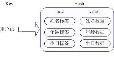 redis 数据类型详解 以及 redis适用场景场合