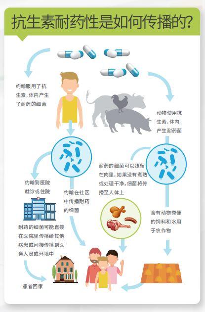 抗生素|小心了！宝宝乱用抗生素，可能导致过敏症、肥胖症，甚至还有自闭症