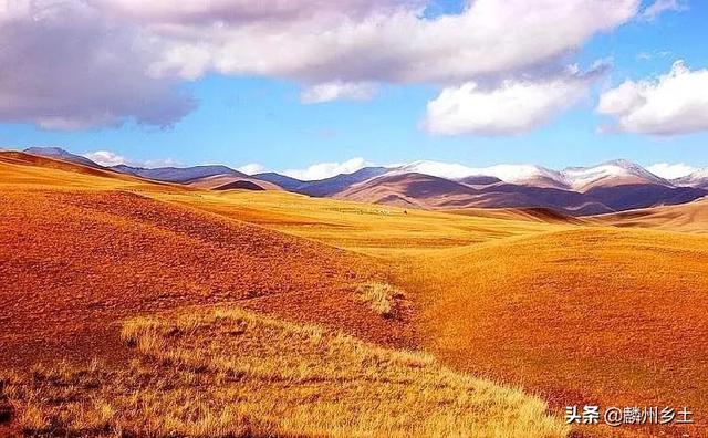 【世界那么大】全中国第二大草原，神奇的和它的名字一样特别，你知道是哪里吗？