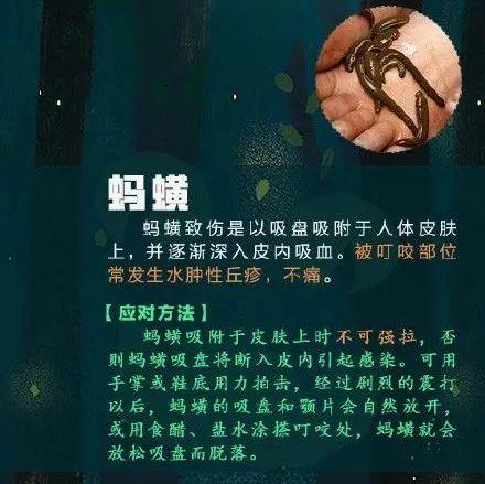[光明网]高烧不退，严重可致命！青岛又有孩子中招！这个“小黑点”千万别大意
