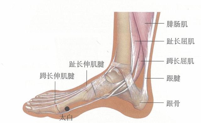 12输穴、对付全身的疼痛，很简单，几分钟就学会