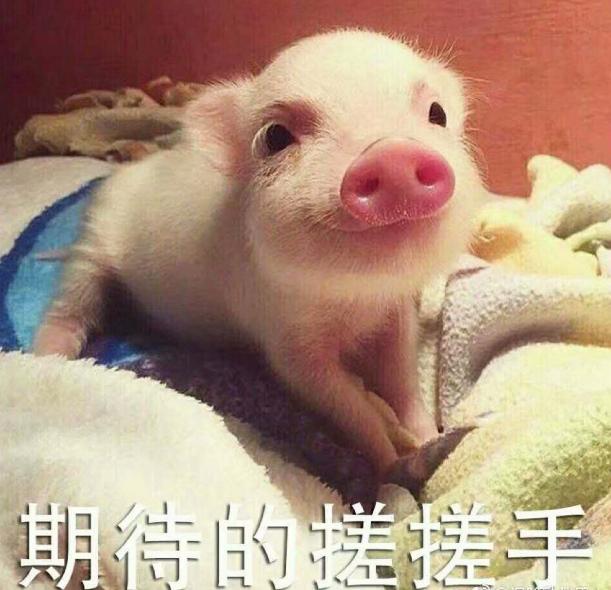 新闻看点|放假啦！这里有少儿读物历险记类书单，快快领走吧