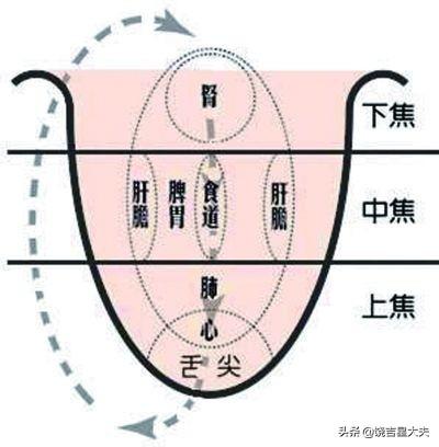 老中医讲透舌诊之常见舌象图谱解说（一）