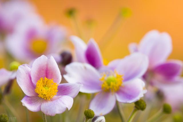 58岁女人坦言：做到这几点，就能避免更年期的不良反应