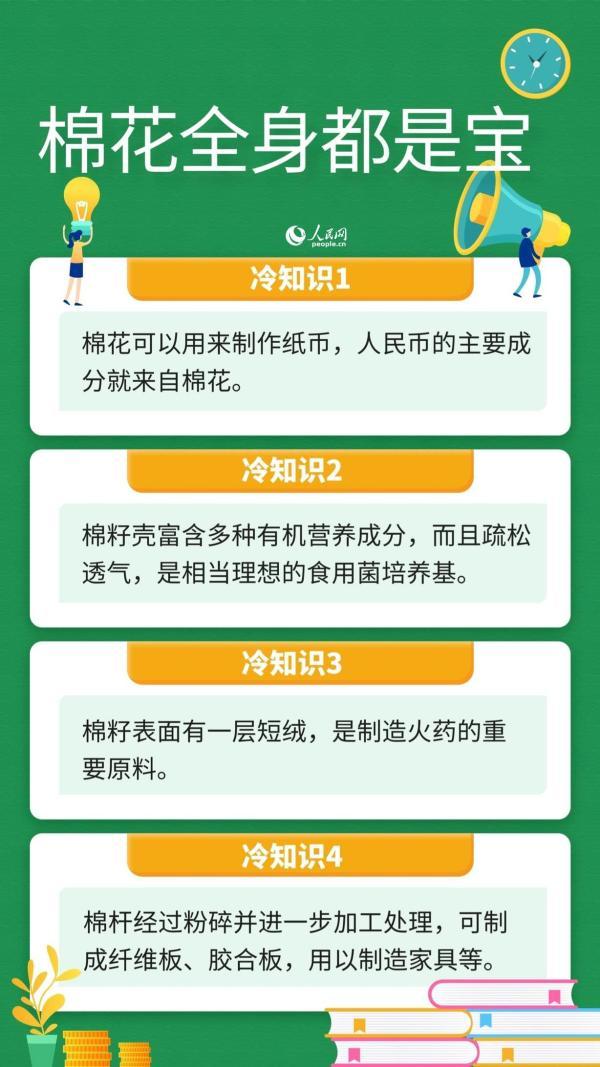 棉花|人民币的原料是棉花、棉杆可做家具……这些关于棉花的冷知识你知道吗？