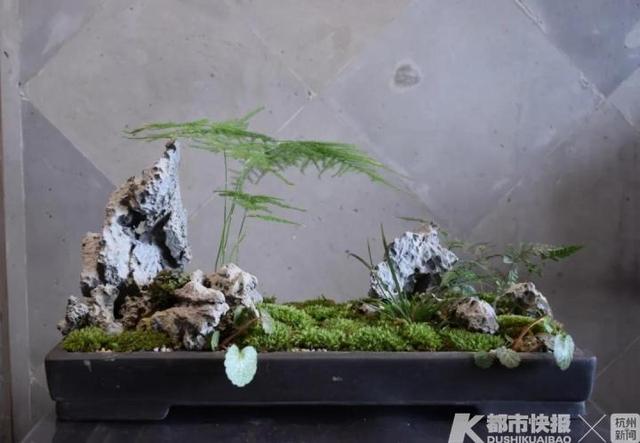 「玩乐足迹」胡雪岩故居明起开放，快来预约免费参观