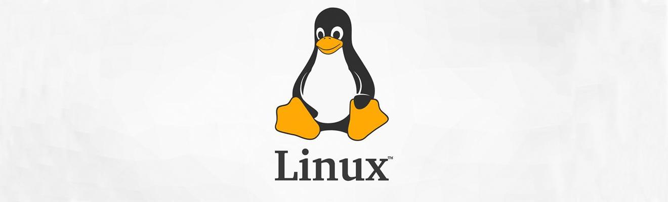 动态链接库|面试 | Linux 下的动态链接库问题