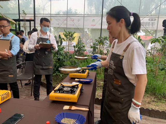 咖啡|金山这里有场“香味四溢”的比赛，和青色咖啡豆有关→